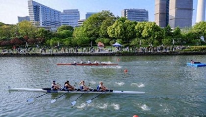 爱游戏登陆入口-桨韵苏河，逐梦前行！2026上海赛艇城市精英赛圆满落幕|普陀区|体育|赛事|苏州河|普陀_新浪体育_新浪新闻